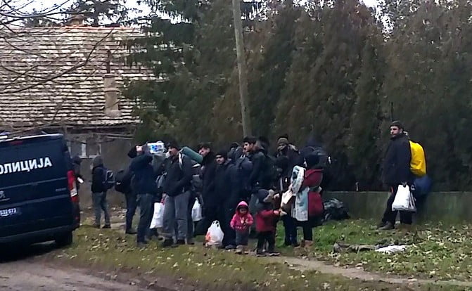 EXKLUZÍV: A szerbiai menekültügyi hivatal reméli, hogy a röszkeihez hasonló események nem váltanak ki pánikot a lakosság körében 6