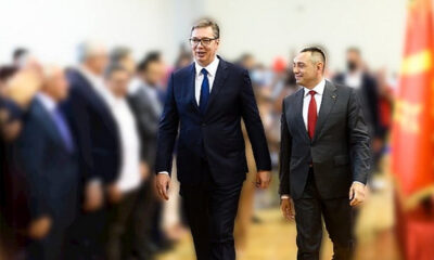 vucic vulin