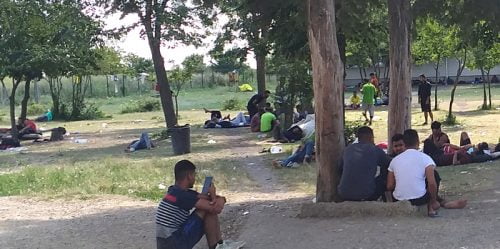 TISZTÁZÁS: A migránsok szemetet gyűjtöttek a zombori befogadó központ környékén 3 TISZTÁZÁS: A migránsok szemetet gyűjtöttek a zombori befogadó központ környékén