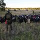 RAZZIA: Migránsokat vettek őrizetbe