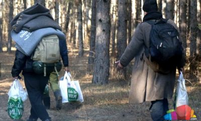 Jellemző kép a homokos talajú erdőről, az egyik migránsnál UNHCR feliratú takaró látható