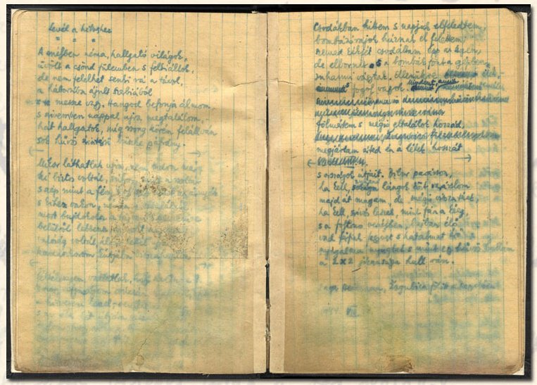 ARANYÁSÓK: Szerbiában mindig találnak aranyat, amikor válság van 5 Magyar arany: Radnóti bori notesze