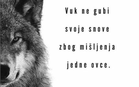 A Wagner Csoport és szerb elnök állatkertje