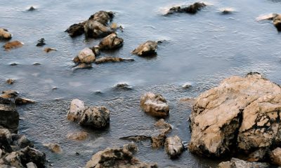 Az alacsony hőmérséklet és az erős viharok miatt a Šibenik melletti Zablaćban is befagyott a tenger, de a turistaszezon idejére biztosan kienged