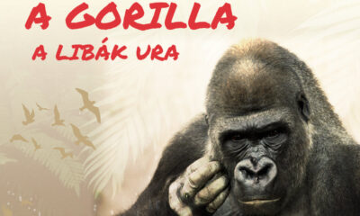 Geopolitika, ország, Kína