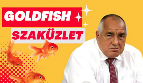 választás, Bulgária, Rumen