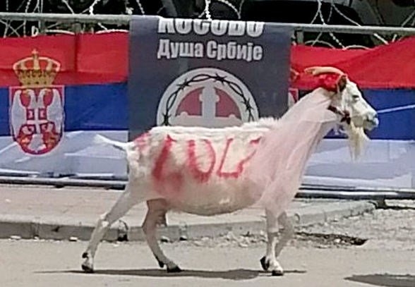 kívánság, Brüsszel
