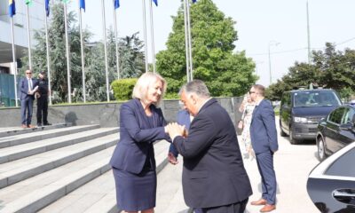 Szarajevó, Borjana Krišto