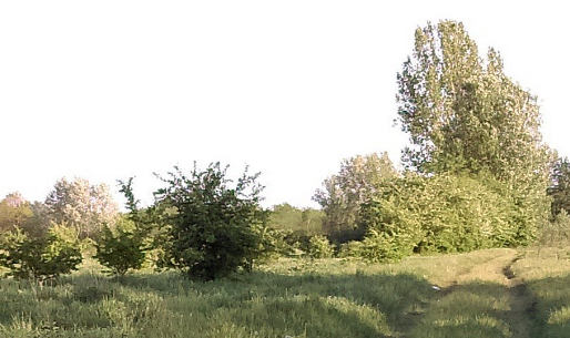 Hajdújárás