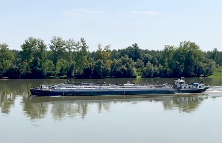 ukrán búza Fiume Budapest