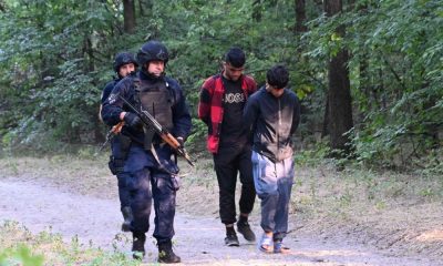 migránsok lövöldöztek Szerbiában Szabadkánál