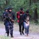migránsok lövöldöztek Szerbiában Szabadkánál