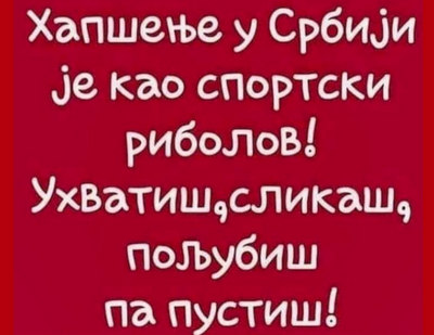 fellebbez őrizet