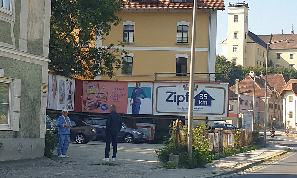 afgán, tálib