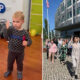 A bölcsödétől az amerikai nagykövetségig az egész Horvátország belebetegedett a Baby Lasagna-féle eurovíziós kórba
