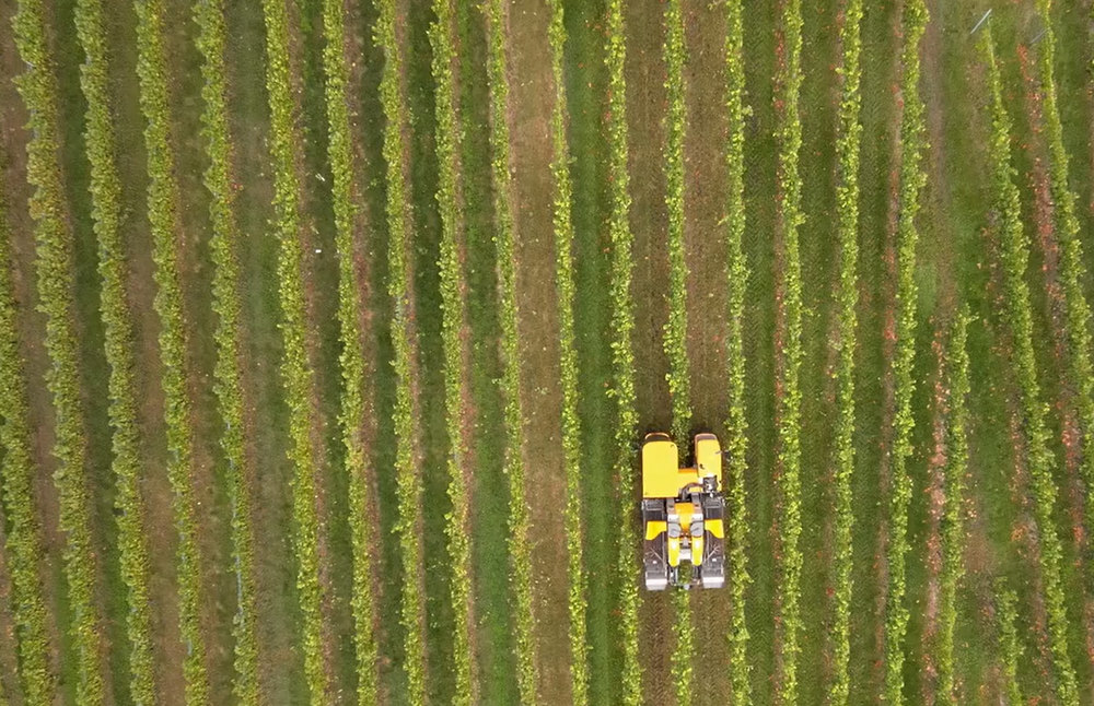 A VINEYARD ANGEL készítői szerint az applikáció további érzékelők használatával képes a szőlőültetvényben a legfontosabb mikroklíma paraméterek gyűjtésére, megfigyelésére és elemzésére 
