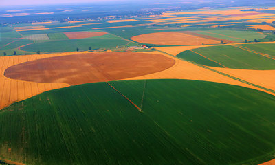 Vupik