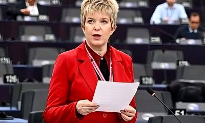 Kovács Elvira a magyar és a szerb hivatalos álláspontokat gyűjtötte össze egy csokorba, és adta át a Novosti olvasóinak