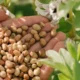 Az üzleti modell a közös termelésen alapul. A NUTRIS.farm™ biztosítja a termelési feltételeket, és az alvállalkozók termékeinek előre egyeztetett áron történő felvásárlására vonatkozó szerződést, ami biztonságot nyújt a nyereség elérésében