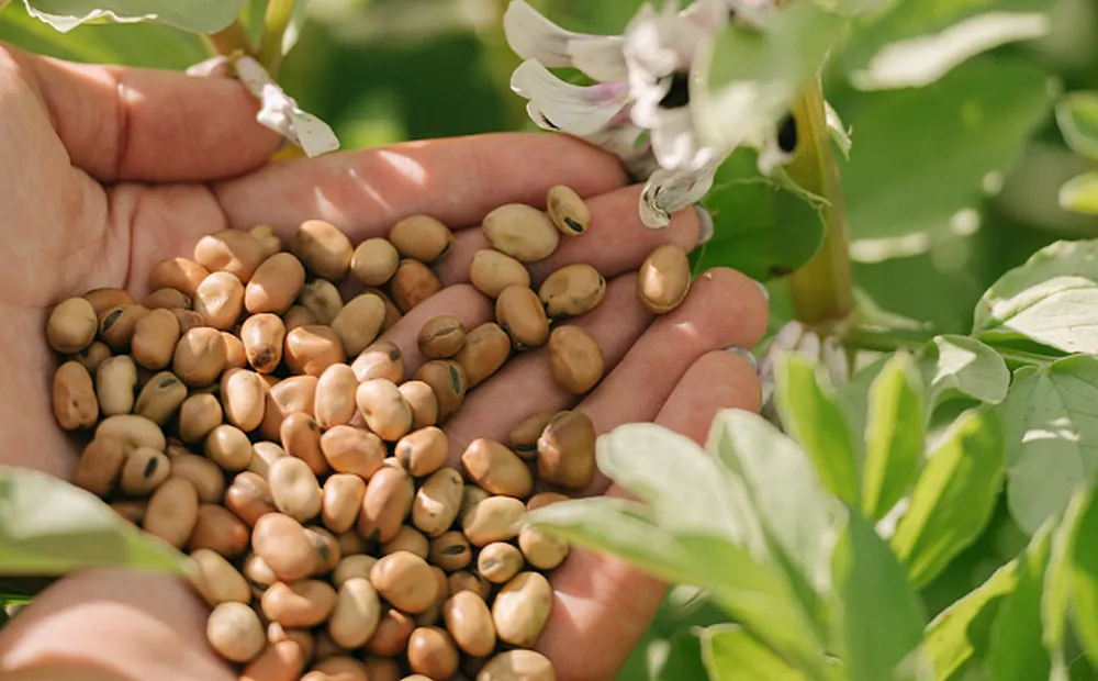 Az üzleti modell a közös termelésen alapul. A NUTRIS.farm™ biztosítja a termelési feltételeket, és az alvállalkozók termékeinek előre egyeztetett áron történő felvásárlására vonatkozó szerződést, ami biztonságot nyújt a nyereség elérésében