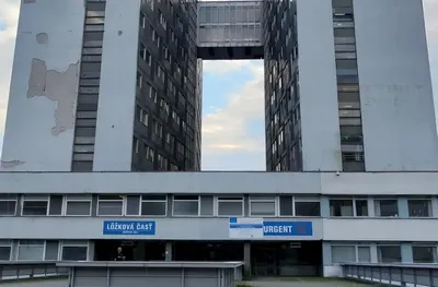 Szlovák sztrájk