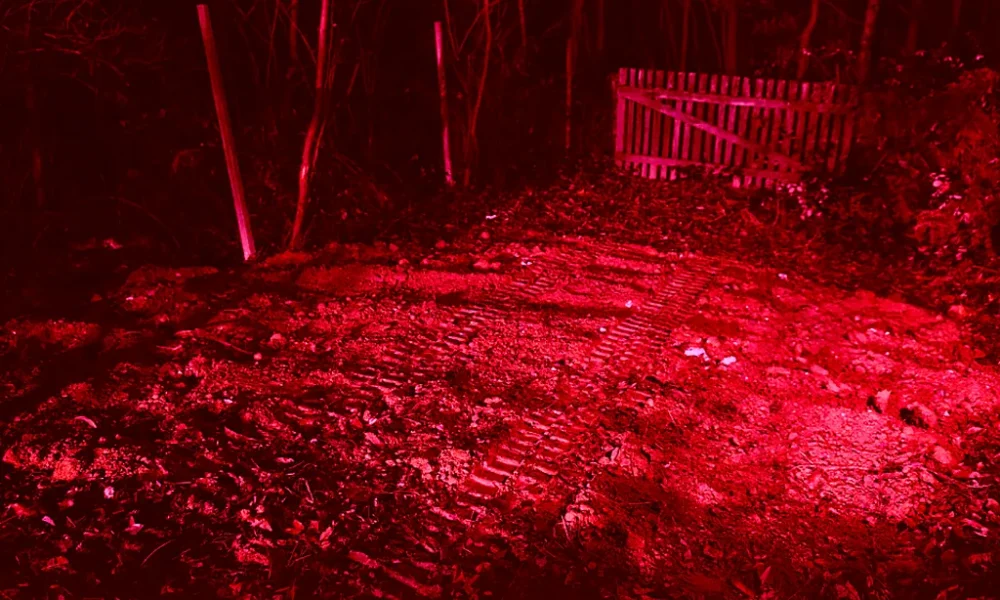 - Hallottuk a markoló zaját, és láttuk a rendőrséget, de senkit sem engedtek a közelbe. Tudtuk, hogy valami nagyon súlyos dolog történt, de ilyen mértékű tragédiára nem számítottunk - mondta az egyik szemtanú