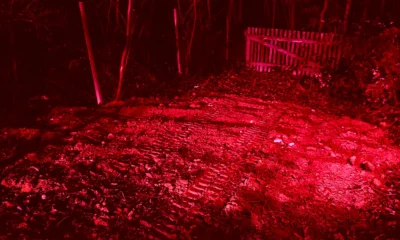 - Hallottuk a markoló zaját, és láttuk a rendőrséget, de senkit sem engedtek a közelbe. Tudtuk, hogy valami nagyon súlyos dolog történt, de ilyen mértékű tragédiára nem számítottunk - mondta az egyik szemtanú