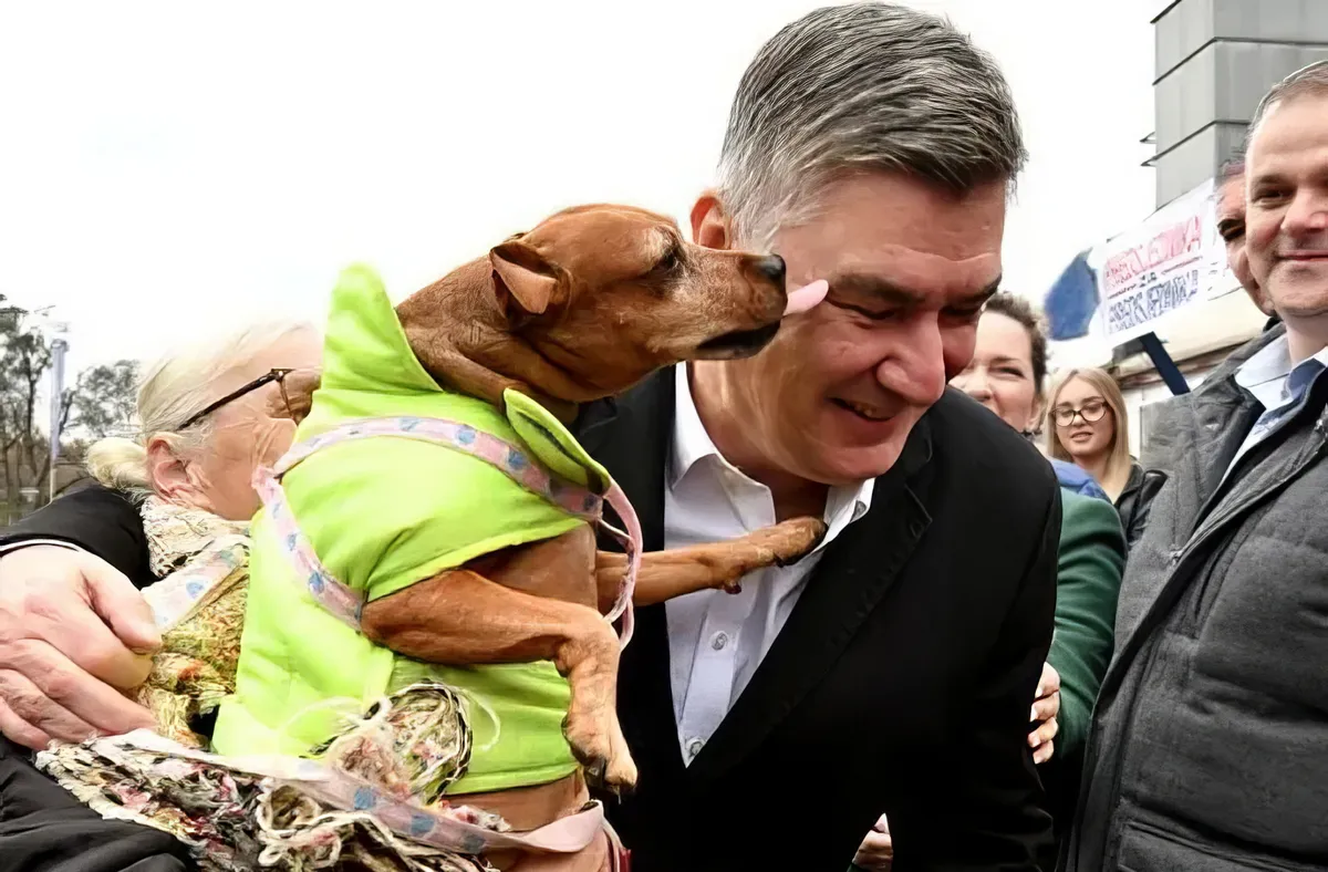 Volt egyszer, hol nem volt, egy elnökválasztás Horvátországban 4 Zoran Milanović, jelenlegi horvát köztársasági elnököt már a kutyák is megszerették