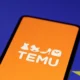 A szerb posta inkább állami infrastruktúrát biztosít a Temunak, és nem nehezíti meg a dolgát Szerbiában