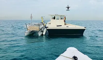 robotika