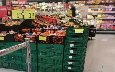 bojkott