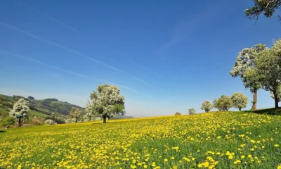 Horvátországban