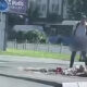 Egy ismeretlen férfi levizelte az emlékezés virágait