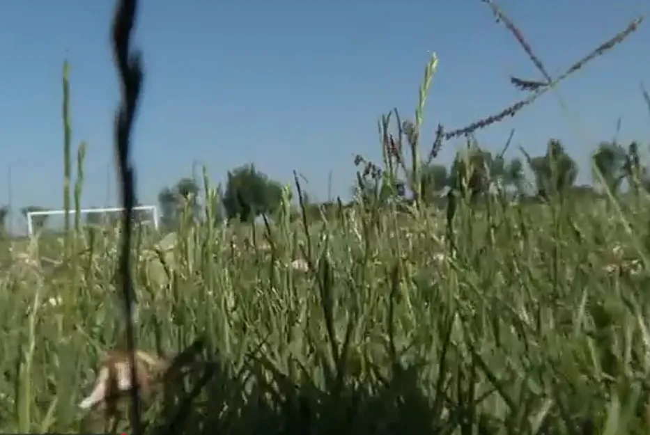 Stadion a libalegelő mellett a horvátországi Várdarócon 5 A réti pálya