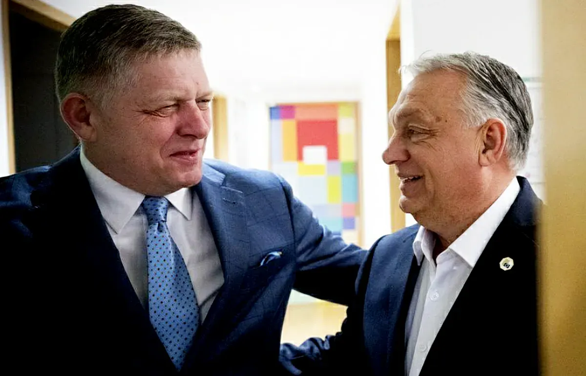VÉTÓBARÁTSÁG: A vétó lehetősége az EU alapítóinak szándéka szerint a demokrácia biztosítéka, hogy a nagy tagállamok ne tudják egyszerűen csak elnyomni a kisebbeket