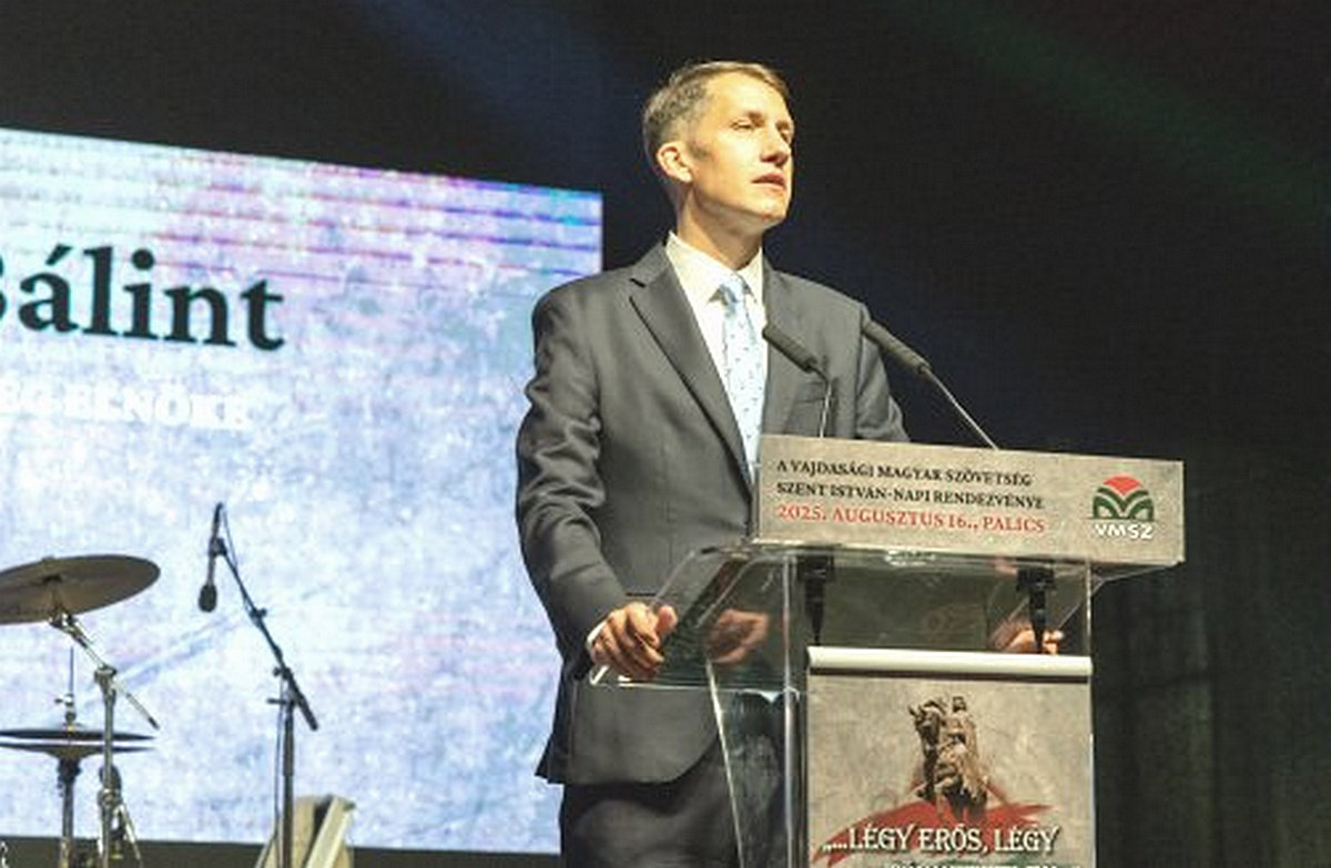 Pásztor Bálint szerint az anarchista plénumosoknak "nincs emberi arcuk", de 9 és fél hónap után nincs programjuk, és nincs jelöltlistájuk sem