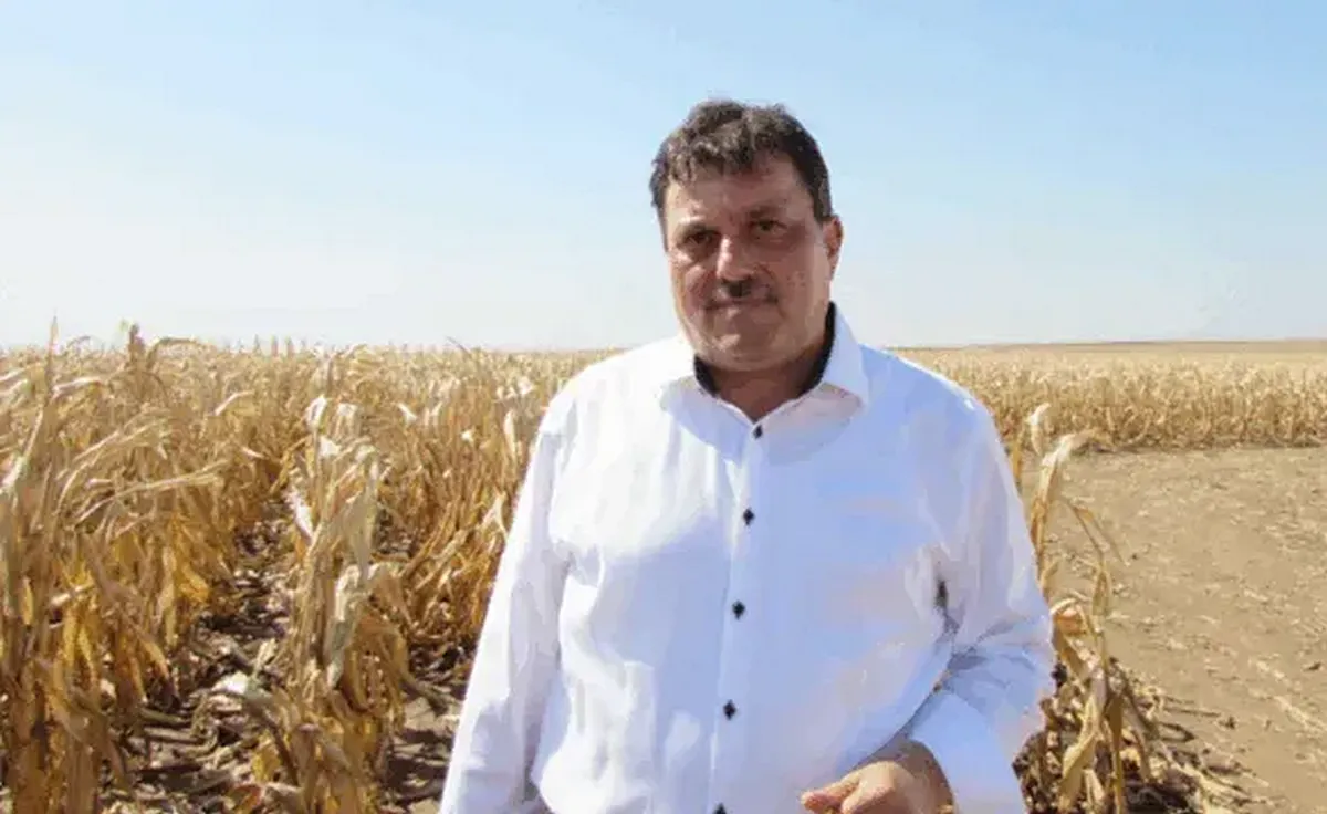 Parlagon a román mezőgazdaság, a földek fele külföldi kézen? 3 Nicu Vasile szerint sok gazda feladja a vállalkozását, míg mások csődbe mennek (Forrás: Agrointeligența)