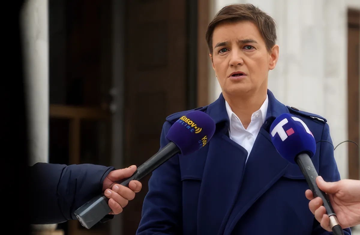 Az EP-delegáció elől Észtországba emigrált Ana Brnabić hazatérését követően szövegértelmezési problémákkal küzdött: szerinte ugyanis az ellenzék és a nem kormányzati szektor „szankciókat és Szerbia nemzetközi elszigetelését kérte az európai parlamenti képviselőktől”. A kormánypárti média szerint a "blokadéró" újságírónak számító Bojan Andrejić elmagyarázta neki az X-en, hogy miről is van szó: Nem, Ana, ők szankciókat kértek rád, a főnöködre, és a hatalmon lévő maffia politikai szárnyára, amely Szerbiát és polgárait tönkreteszi. Ez olyan Horn Gábor-os eset, ami a ‘Nem, Feri!’ megszólítással kezdődik (Forrás: X platform, Bojan Andrejić)