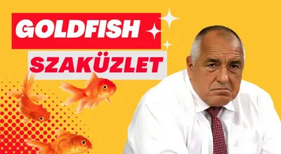Bojko Boriszov