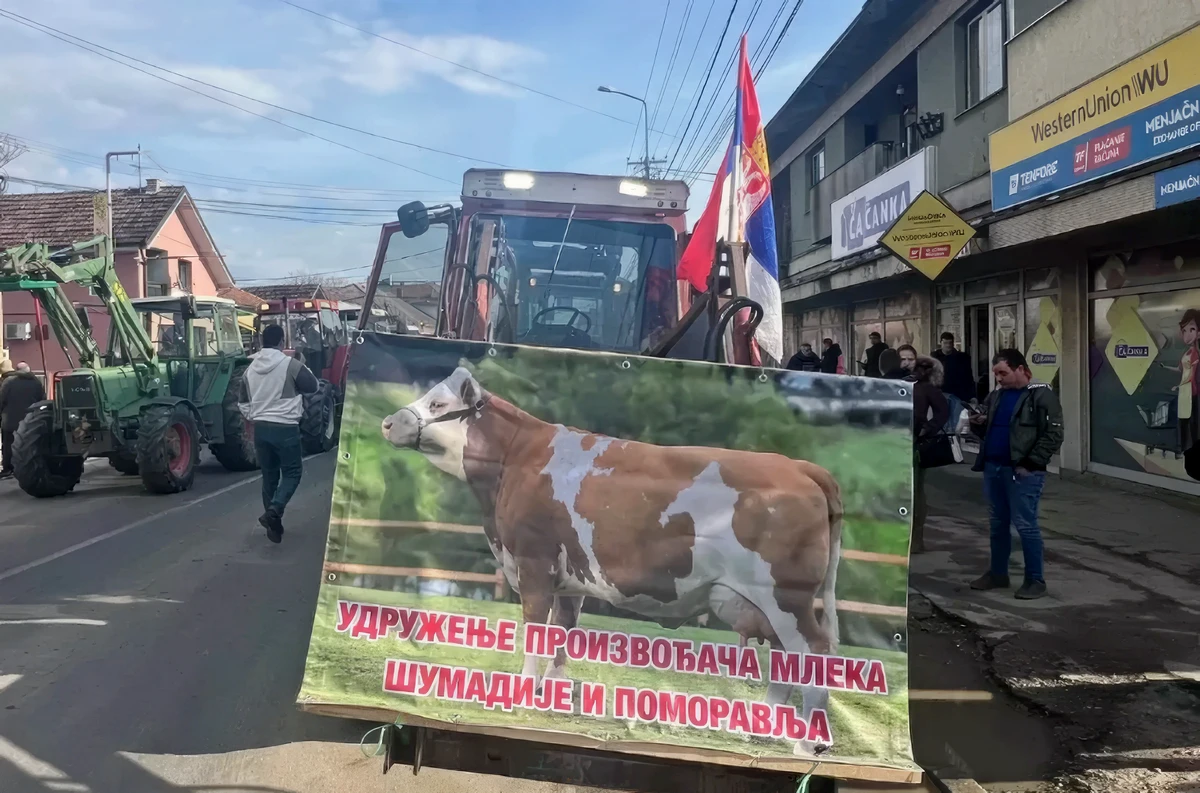 Középpontban a tehén: ha sokáig így megy tovább, akkor már csak képről ismerik