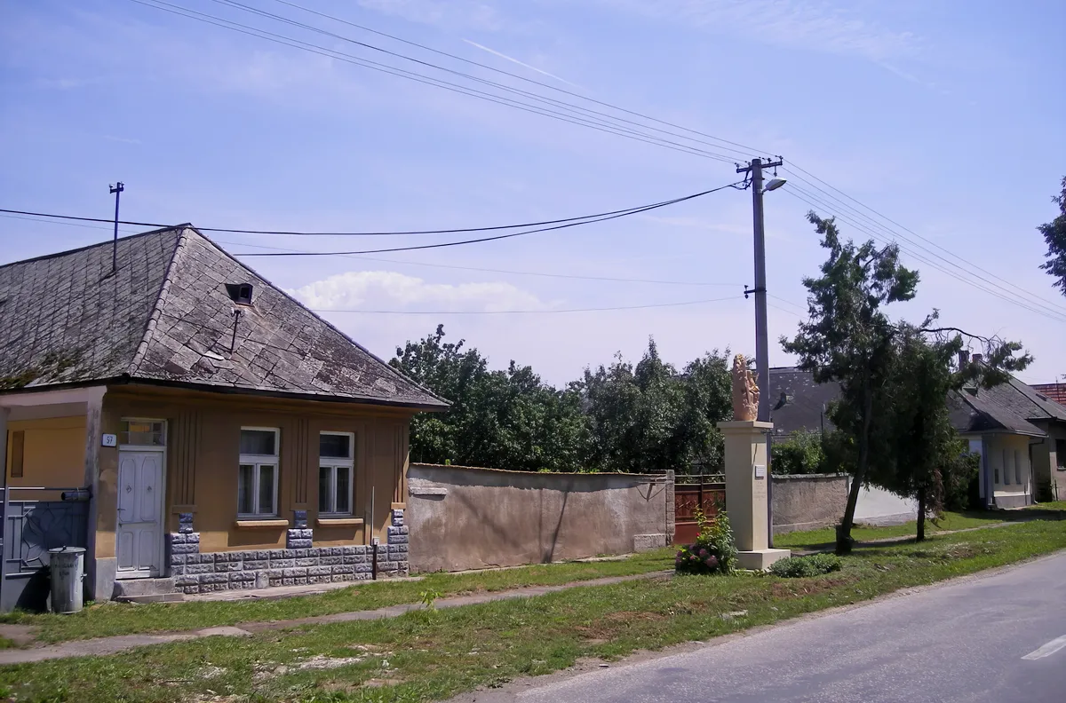 A vér emlékezete: magyarságomat én fel nem adom 2 Pereszlényi utcakép