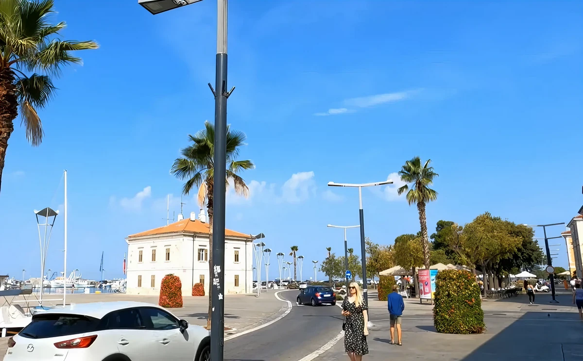 A jachtkikötőt övező pálmasor
