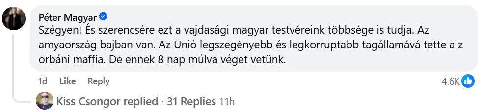 Magyar Péter tárgyal a VMSZ-szel, de mit mond nekik? 7 Magyar Péter válasza a Facebookon
