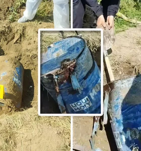 Alaposan becsomagolták a hullát - még be is betonozták - de a szerb rendőrök így is megtalálták, hogy minek folytán, az egyelőre még nem tisztázott