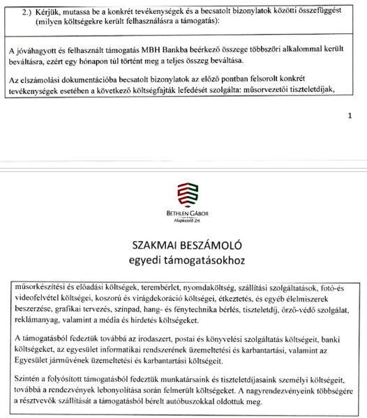 Az Agenda civil szervezet vagy politikai háttérintézmény? 5