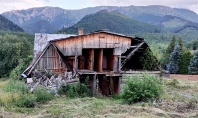 A tatárjárás után Fotó: LAFFERTON & BAB)