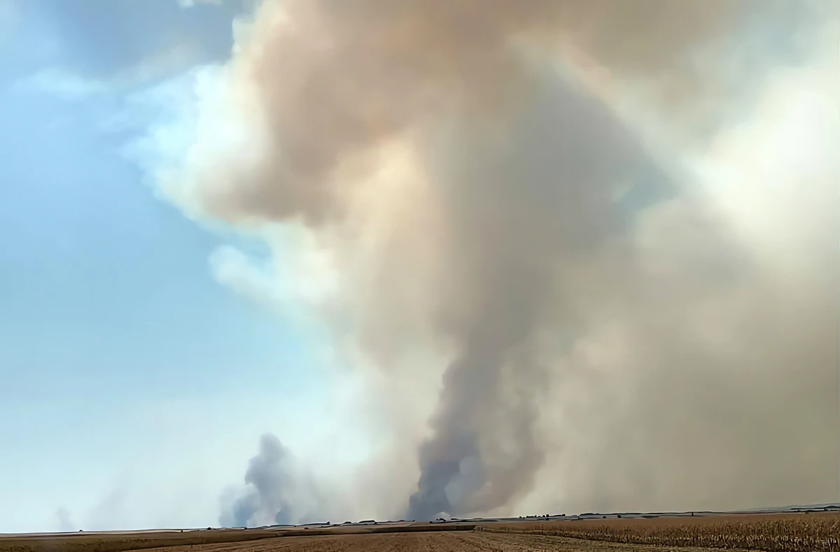 The Sands in summer – smoke rising to the sky over the Deliblato Sands (Photo by the author)